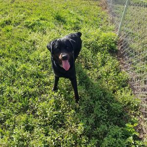 Meet your Posher, Tyrone